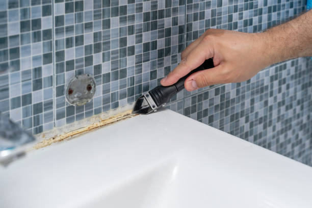 Reliable Olympia Fields, IL Mold Removal Solutions
